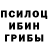 ГАШ гашик Lee Tanczos