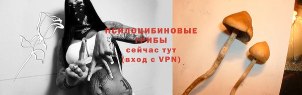 гидропоника Бугульма