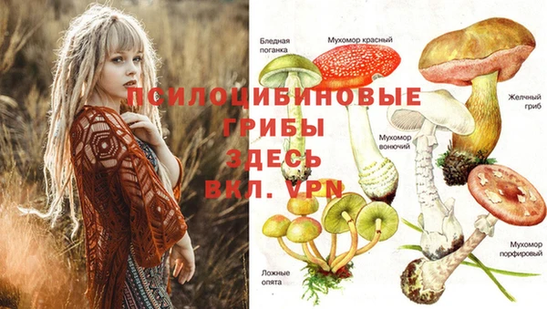 гидропоника Бугульма